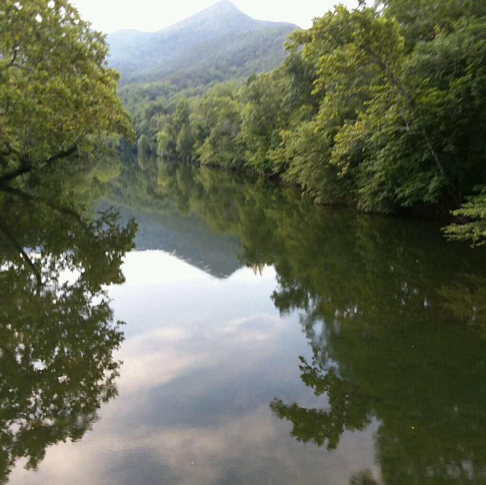 Meet your Posher, Tessia